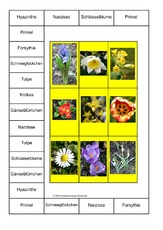 Bingo-Frühlingsblumen-1A.pdf